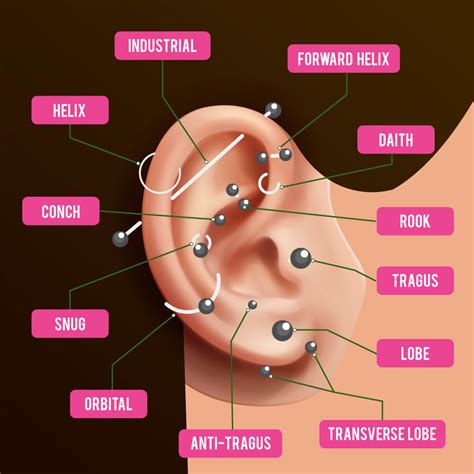 Types of Ear Piercings: 27 Different Types (with Pictures)