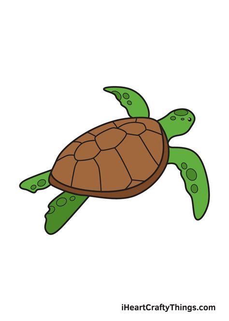 Sea Turtle Drawing — How To Draw A Sea Turtle Step By Step