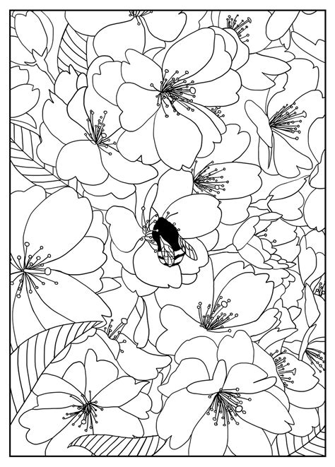 Cherry tree - Flowers Adult Coloring Pages