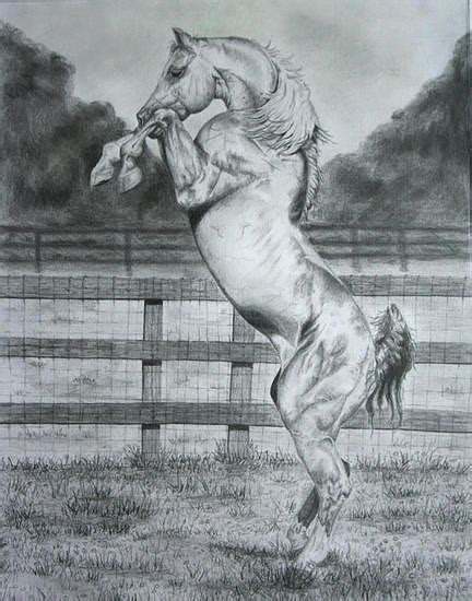 Rearing Horse Painting by Jodi Bauter - Fine Art America