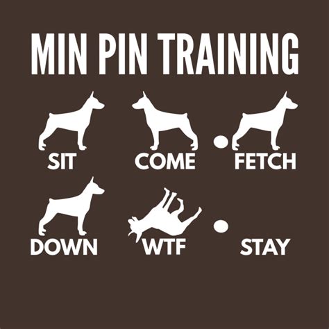 Min Pin Training Miniature Pinscher Dog Tricks - Miniature Pinscher - T ...