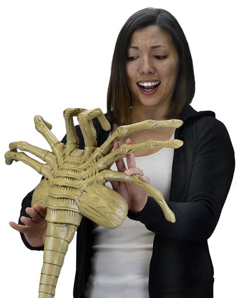 A Full-Size Foam Replica of an Alien Facehugger