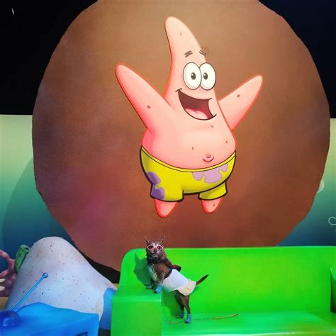 Visiting Patrick at Bikini Bottom. : r/spongebob