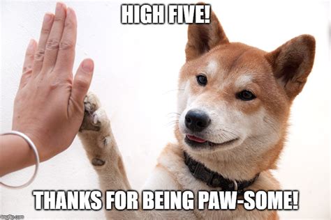 Paw-some Doge - Imgflip