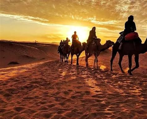 Camel Ride With Lunch – Ghazala Camp