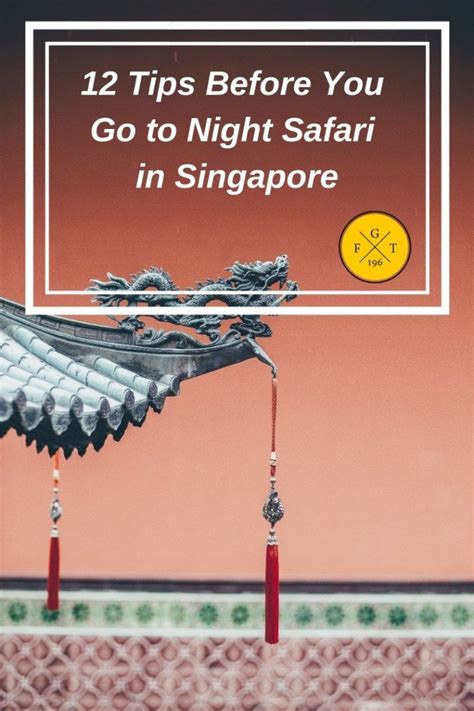 12 tips before you go to night safari in singapore – Artofit