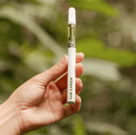 Raw Garden Vape Pen. A Review About the Raw Garden Vaporizer 2021 ...