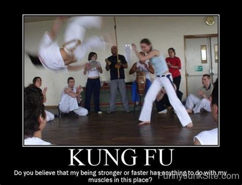 Funny Kung Fu Pictures » Kung Fu Master