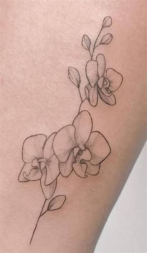 Orchid Tattoo Drawings