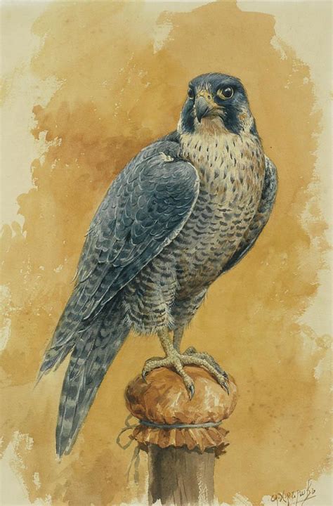 Falcon Painting - Hunting Falcon by Alexander Sergeevich Khrenov ...