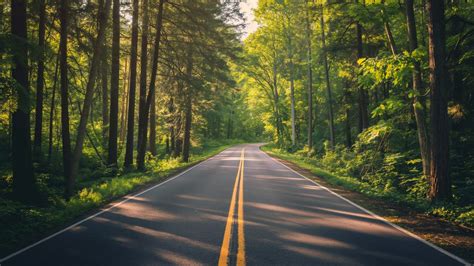 Wallpaper road, trees, summer, 4k, Nature #17125