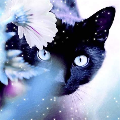 DIY Mystical Black Cat Diamond Painting Cross Stitch - Craft Kit # ...