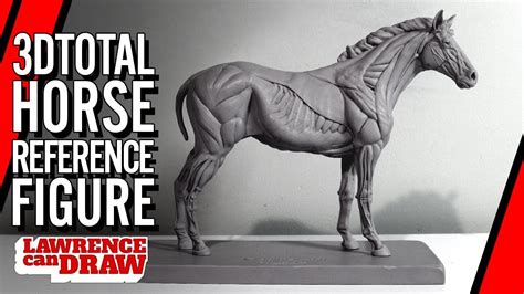 3DTotal horse equine Anatomy Drawing Reference Figure Review - YouTube