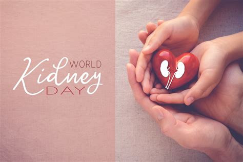 World Kidney Day 2021: History, Theme and Significance - Newshunt ...