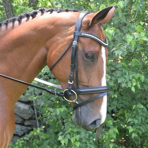 Dressage Bridles | The Farm House