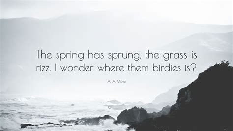 A. A. Milne Quote: “The spring has sprung, the grass is rizz. I wonder ...