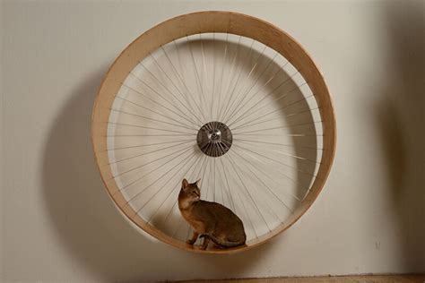 Wheel: Cat Wheel