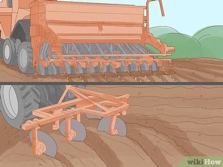 Easy Ways to Help Prevent Desertification: 12 Steps