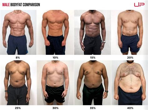 Male Body Fat Percentage Comparison [Visual Guide] | Ultimate Performance