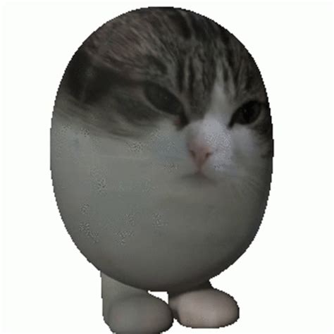 Egg Cat Bounce Sticker - Egg Cat Bounce 3d - Discover & Share GIFs