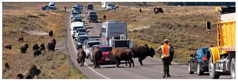 How to get to Yellowstone National Park from Bozeman, MT