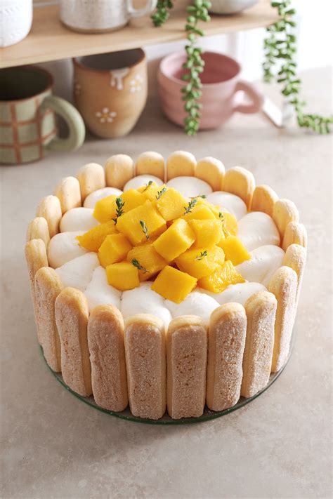 Mango Charlotte Cake - Teak & Thyme