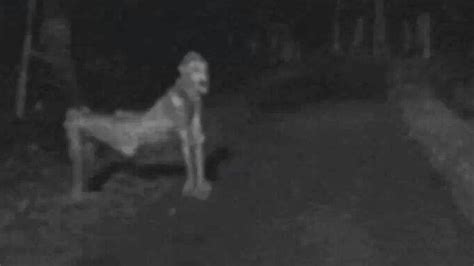 Recent NM 'skinwalker' photo ignites fear - YouTube