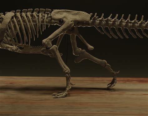 3D file Majungasaurus skeleton 💀・3D printer model to download・Cults