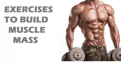 Fitnex Pro: 5 Exercises To Build Muscle Mass Fast