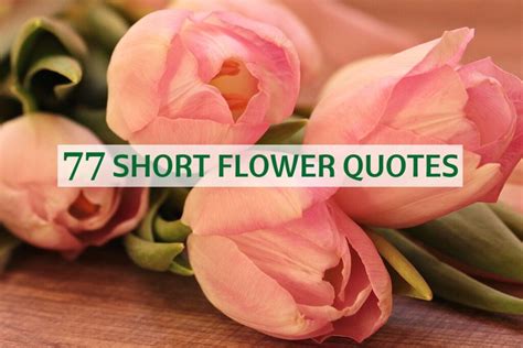 77 Short Flower Quotes You Will Surely Love