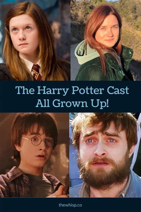 All Harry Potter Cast Then And Now - Sperly1981