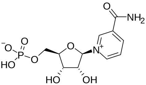 nicotinamide-mononucleotide-chemical-structure-nmn - Hunting Waterfalls