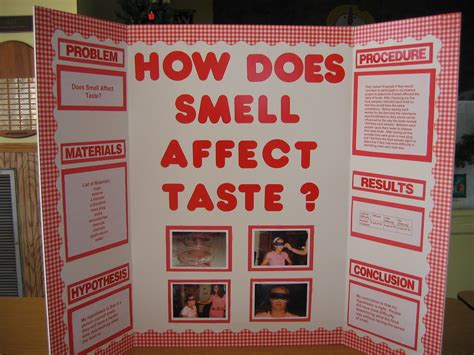 pictures+of+science+fair+projects | Description: My Science Fair ...