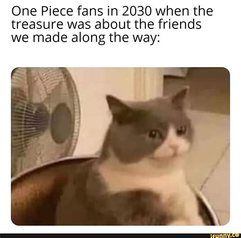 One Piece fans in 2030 when the treasure was about the friends we made ...