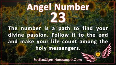 Angel Number 23 is a Path to Find Your Divine Passion | ZSH