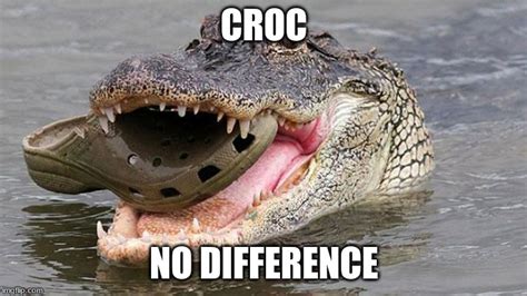 Croc - Imgflip