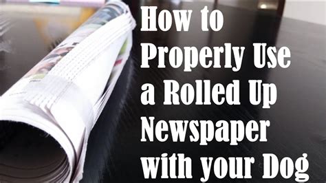 How to Properly Use a Rolled Up Newspaper with your Dog - Mock Video ...