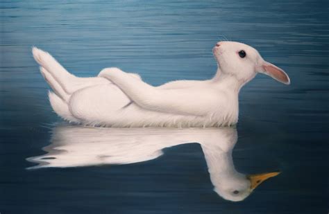 'Rabbit Duck on Pond' made by: Tim O'Brien | Duck or rabbit, Tim o ...