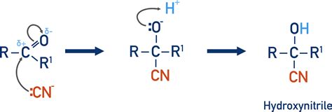 Organic Quick Notes (revision) for A2-Level | ChemistryStudent