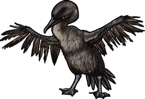 Flightless Cormorant by rydicanubis on DeviantArt