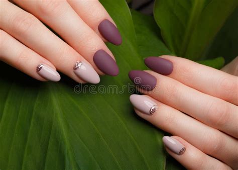 107,987 Nail Design Stock Photos - Free & Royalty-Free Stock Photos ...