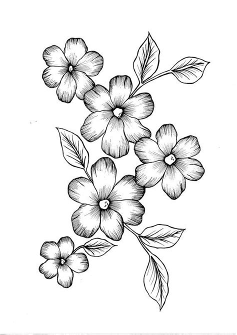 Wild Flowers PDF Coloring Page - Etsy | Easy flower drawings, Flower ...