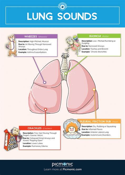 registered nurse school #nursingschool | Nursing school notes, Nursing ...