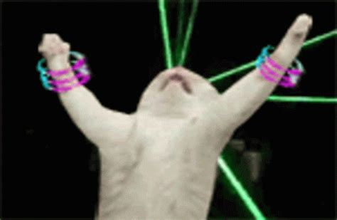 Rave Party GIFs | Tenor