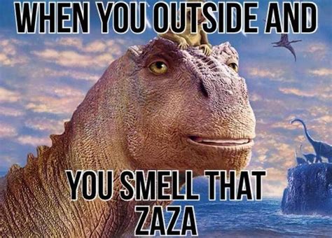 When You Outside And You Smell That Zaza (meme) | When You Outside And ...