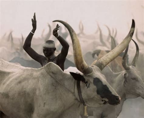 Extraordinary Photos: The Essence Of The Dinka Tribe In Sudan