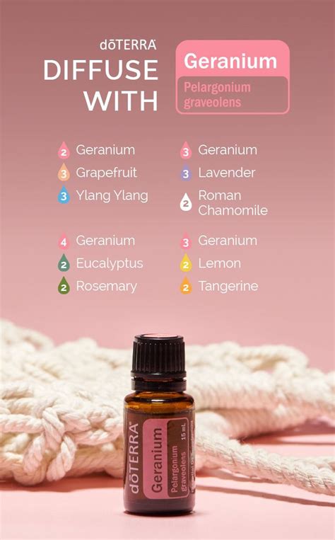 Diffuser Blends with Geranium | Essential oil diffuser blends recipes ...