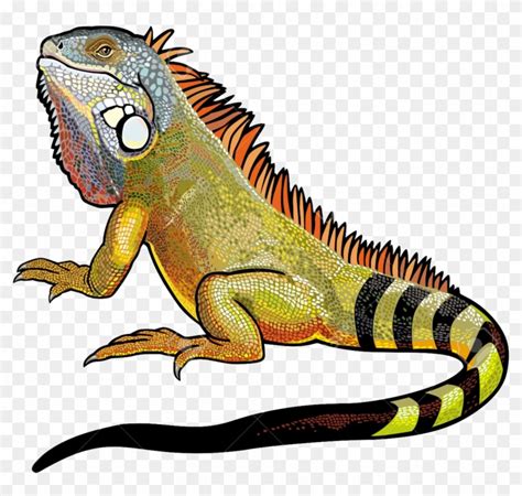 Iguana Png File - Green Iguana - Free Transparent PNG Clipart Images ...