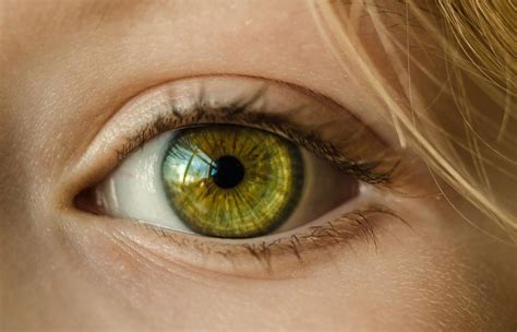 Rare Eye Colors In Humans