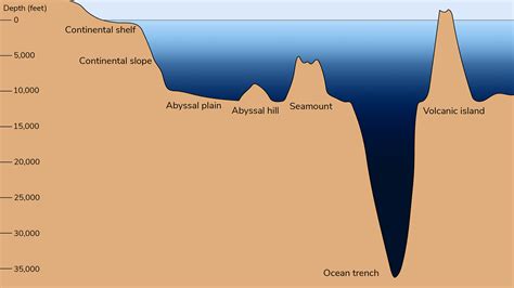 Ocean floor features (2024)